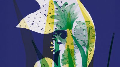 Spectacle – Cocléamama